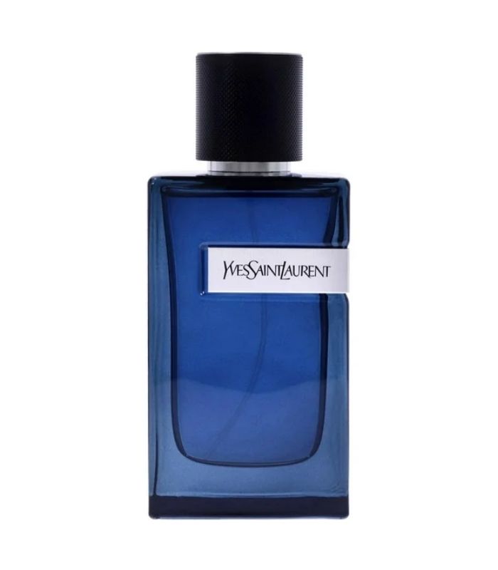 YSL Y Intense